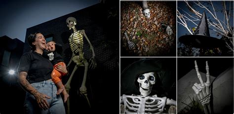 What’s 12 feet tall, dead and taking the country by storm? A coveted skeleton, of corpse